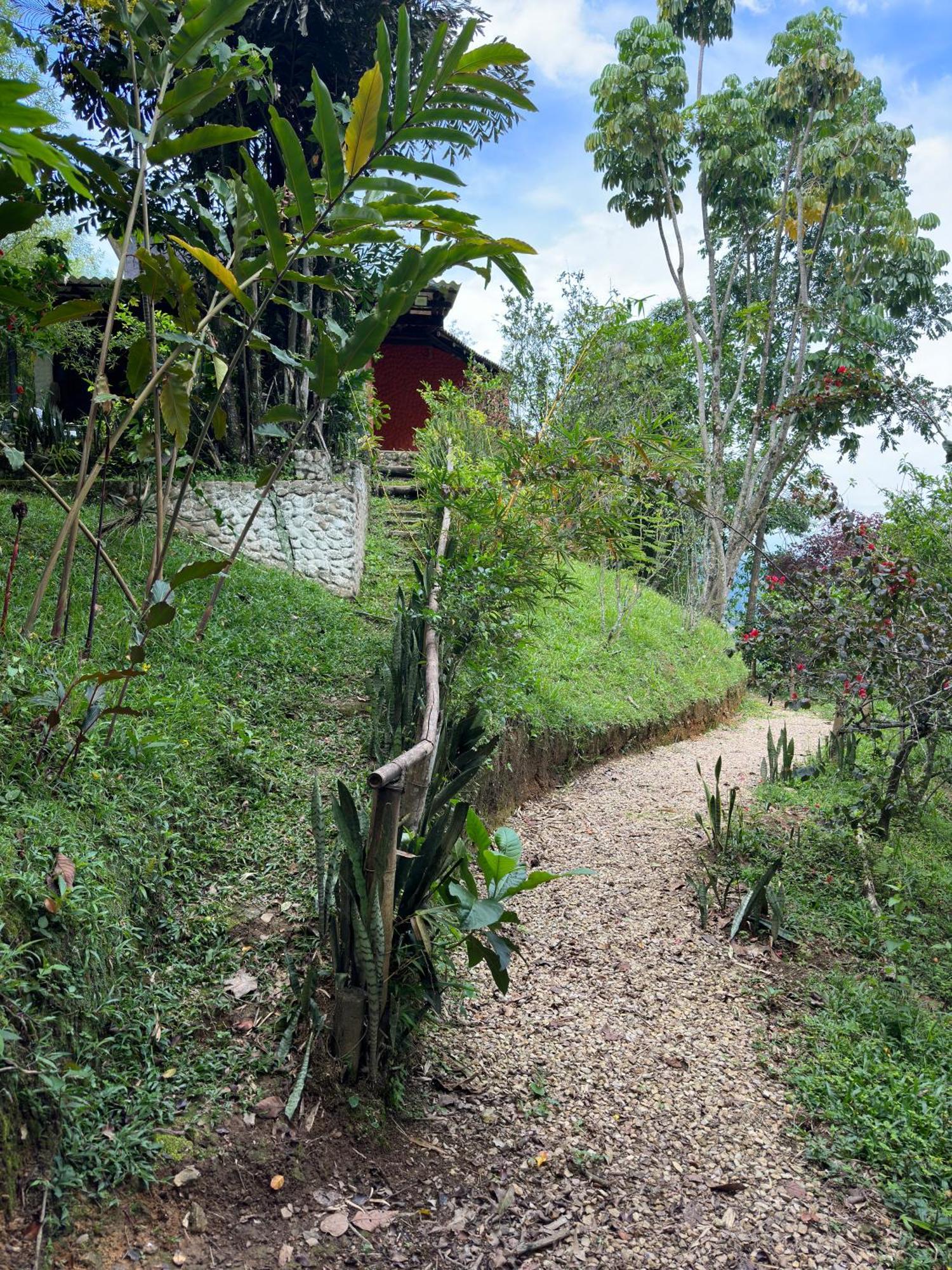 Jaragual Hostel "Eco Hostal" La Vega  Rum bild